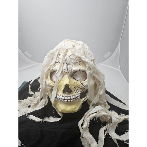 Vintage FUN WORLD DIV RIP Skull Skeleton Mask Long White Hair Halloween - Picture 2 of 10